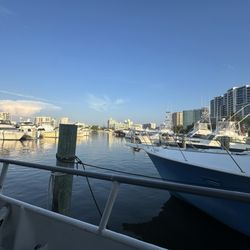 Flying Fish Fleet Deep Sea Fishing - The Marina