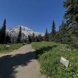 Nisqually Vista Trail