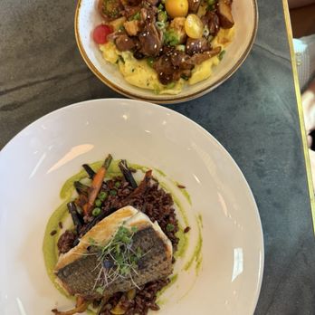 Local Foods - seared sea bass, agedashi breakfast bowl - Salad Near Me - Houston, Texas Local Foods - seared sea bass, agedashi breakfast bowl - Salad Near Me - Houston, Texas