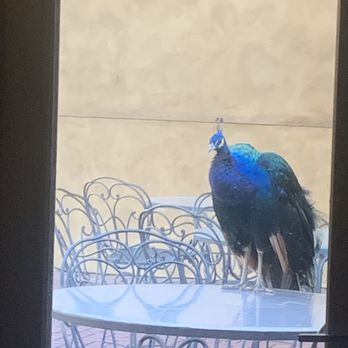 La Caille - French Near Me - Sandy, Utah