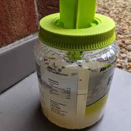 FLIES CAUGHT IN PATIO