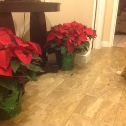 Ambiance Flowers For All Occasions - Poinsettias are HUGE