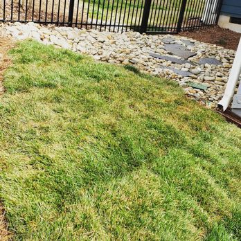 Best Natural Haven - Landscaping Near Me Best Natural Haven - Landscaping Near Me