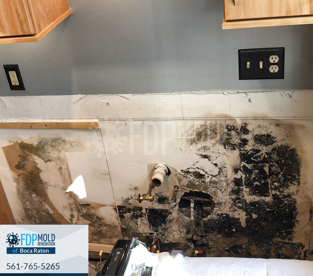 FDP Mold Remediation - mold inspector in Boca Raton, FL