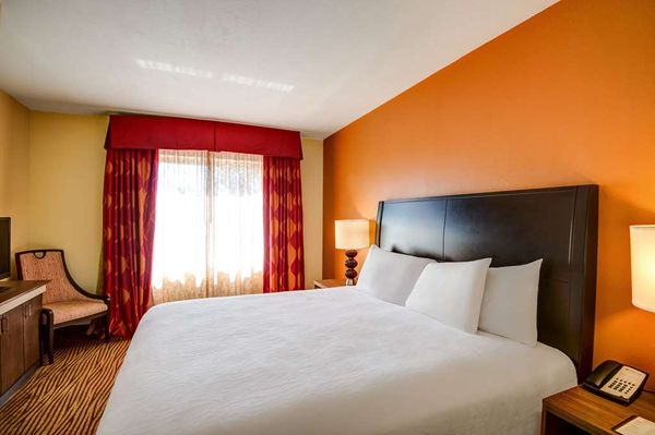 Hilton Garden Inn Tampa Ybor Historic District by null