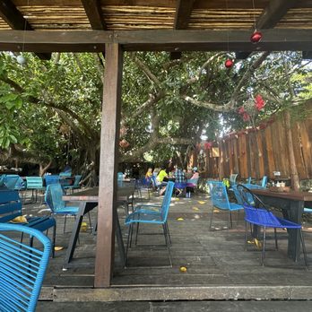 La Playita - Restaurant - Seafood Near Me - Bacalar, ROO La Playita - Restaurant - Seafood Near Me - Bacalar, ROO
