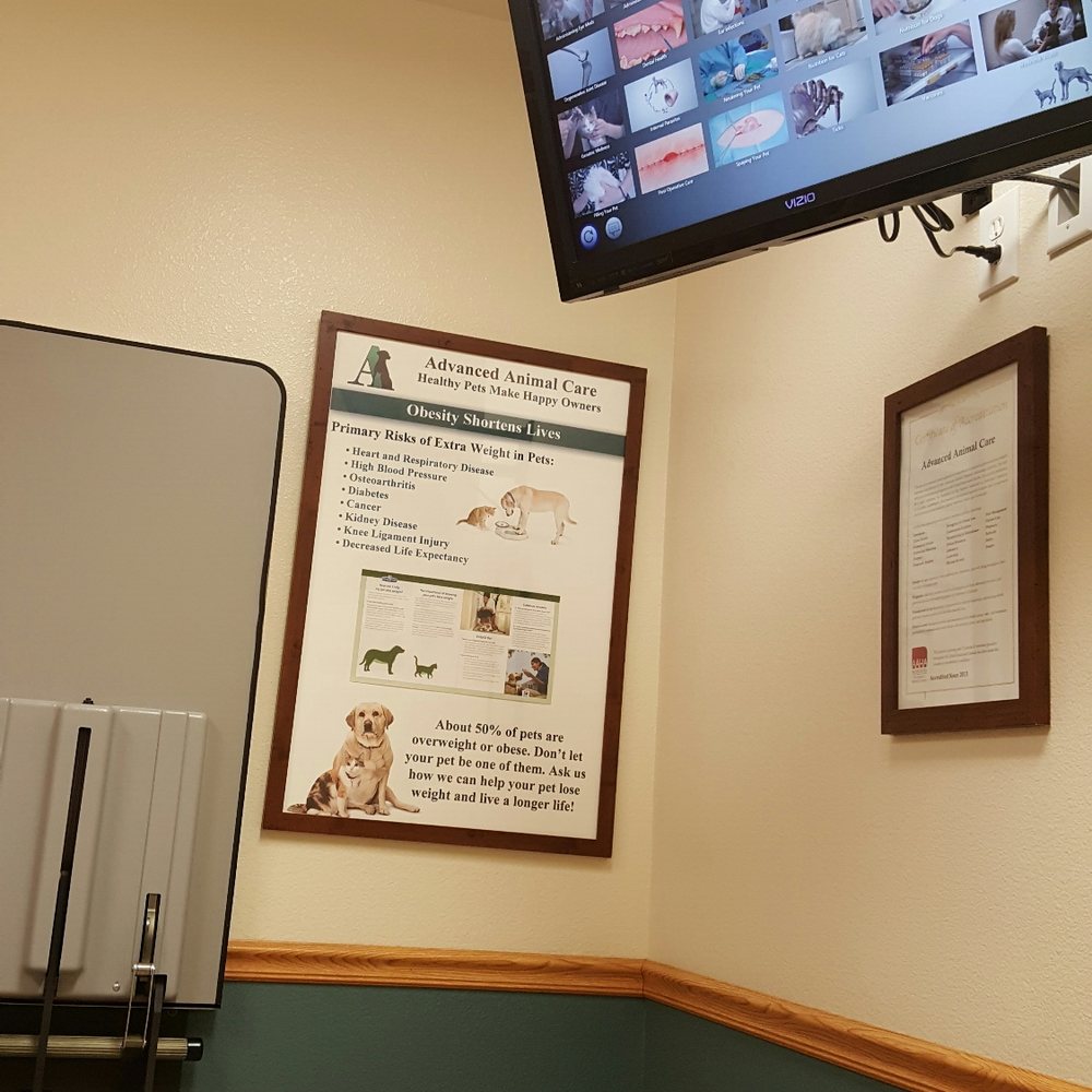 Advanced Animal Care - Patient room - Veterinarians Near Me - Fort Mohave, Arizona Advanced Animal Care - Patient room - Veterinarians Near Me - Fort Mohave, Arizona