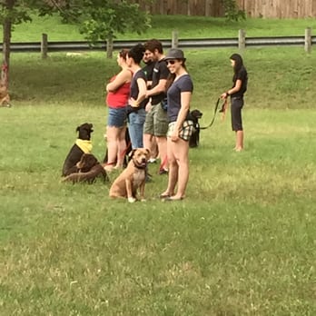 Sit Means Sit Dog Training - Group class - Pet Training Near Me - Austin, Texas Sit Means Sit Dog Training - Group class - Pet Training Near Me - Austin, Texas