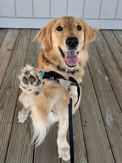 Jenkins Preschool Academy - childcare center in Wilmington, NC