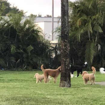 Happy Tails Dog Park - Dog Parks Near Me - Plantation, Florida Happy Tails Dog Park - Dog Parks Near Me - Plantation, Florida