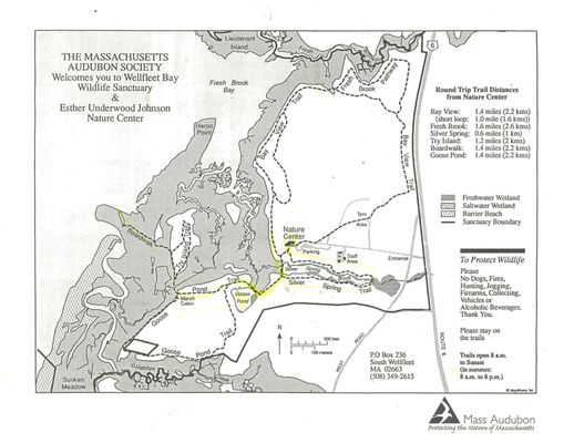 Mass Audubon Wellfleet Bay Wildlife Sanctuary by null
