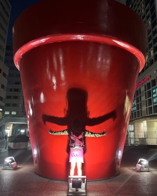 Showa Kinen Park by null