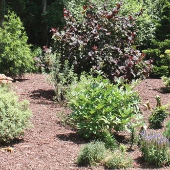 M & M Garden Designs - a variety of plants - Landscaping Near Me M & M Garden Designs - a variety of plants - Landscaping Near Me