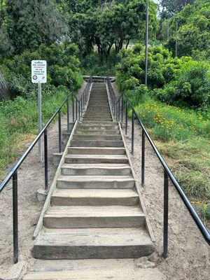 Sand Dune Park by null
