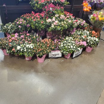 Ralphs Fresh Fare - Mother's day flowers and plants. - Grocery Near Me - Dana Point, California Ralphs Fresh Fare - Mother's day flowers and plants. - Grocery Near Me - Dana Point, California