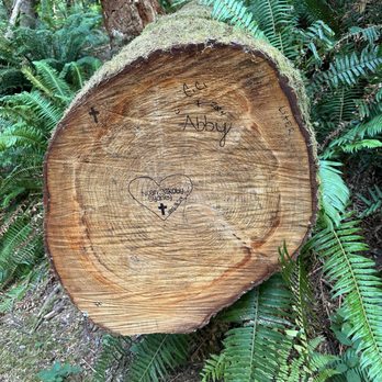 God’s Thumb Trail - Hiking Near Me - Lincoln City, Oregon