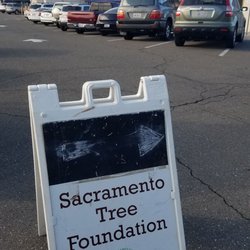 Garden Valley Elementary School - Sacramento tree foundation volunteers just helped plant 20 valley oak trees 10/19/19