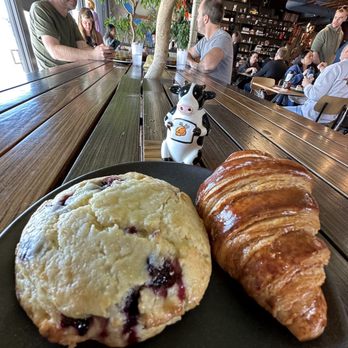 PublicUs - Coffee & Tea Near Me - Las Vegas, Nevada PublicUs - Coffee & Tea Near Me - Las Vegas, Nevada