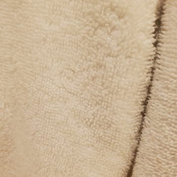 Florida Vacation Homes - More towels with hair. - Vacation Rentals Near Me - Davenport, Florida