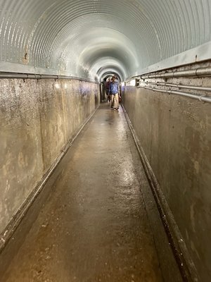 White Water Walk by null