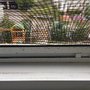 Photo of Brite Lite Window and Gutter Cleaning