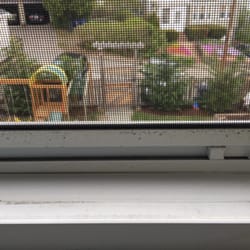 Brite Lite Window and Gutter Cleaning - This is what they call a completed job.
