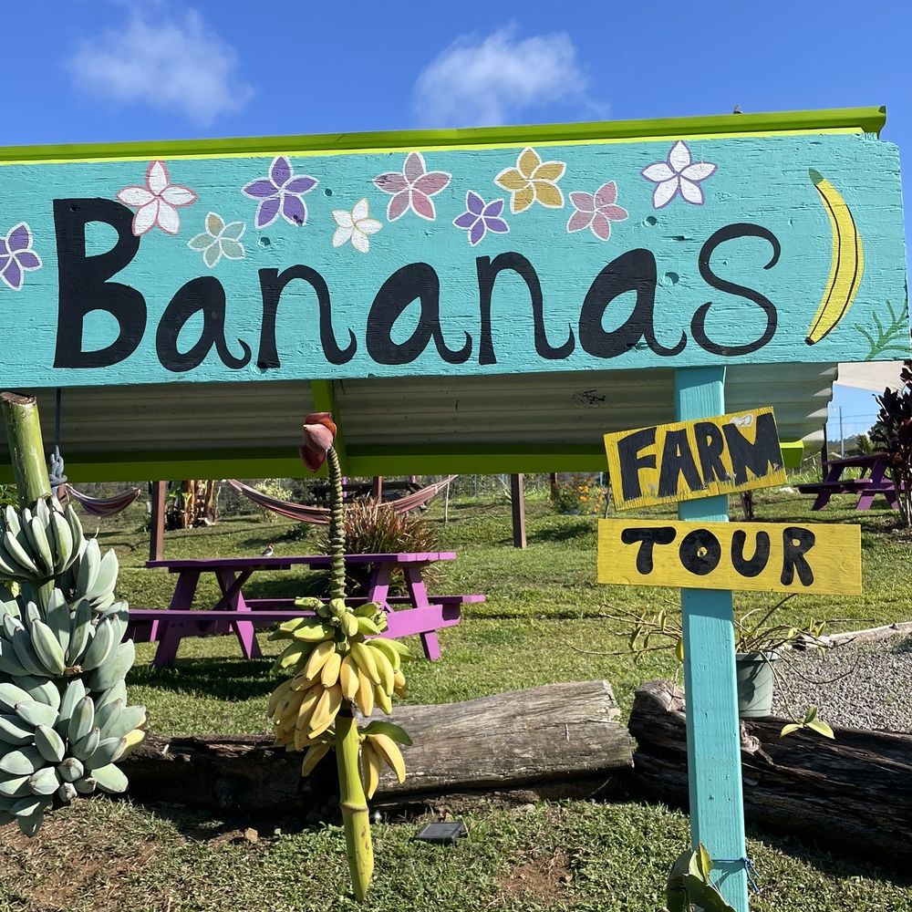 Waipi’o Fruit Shack - Fruits & Veggies Near Me - Honokaa, Hawaii Waipi’o Fruit Shack - Fruits & Veggies Near Me - Honokaa, Hawaii