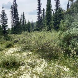Parc National Des Grands-Jardins