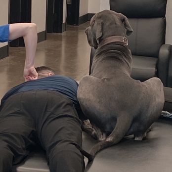 Apex Chiropractic - I mean.......adorable - Acupuncture Near Me - Long Beach, California