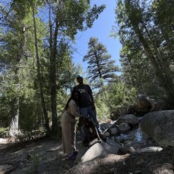 Big Trees Campground - Creek