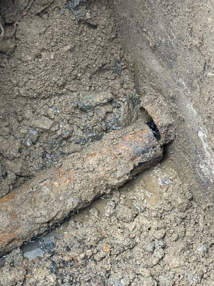 Slide of Rodri’s Rooter