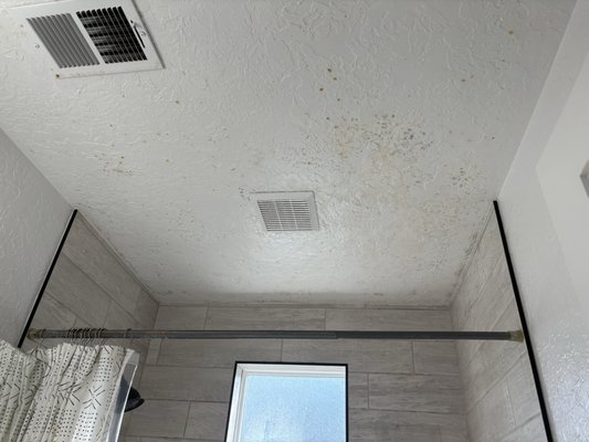 Surface mold removal - This surface mold removal was completed for a client who was eager to move in to get new apartment but wanted it to be clean and fresh upon move in. Surface mold removal - This surface mold removal was completed for a client who was eager to move in to get new apartment but wanted it to be clean and fresh upon move in.