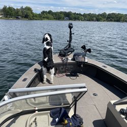 Nelson Marine