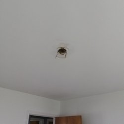 Quick and Quality Skilled Trade Services