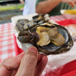 Happy Clam Shack on Yelp