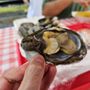 Photo of Happy Clam Shack