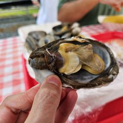 Happy Clam Shack - Peel off the dark skin covering the filter mouth tube on the left
