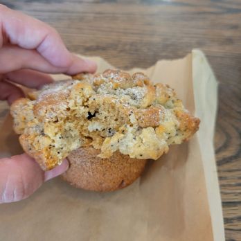 Linea Caffe - Lemon muffin - Coffee & Tea Near Me - San Francisco, California Linea Caffe - Lemon muffin - Coffee & Tea Near Me - San Francisco, California