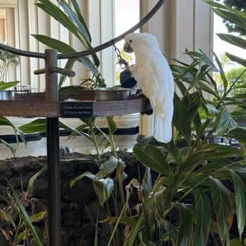 SpaWell Maui at Hyatt Regency Maui Resort - Hotels Near Me - Lahaina, Hawaii
