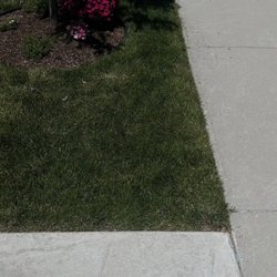 The road verge and spot where the homeowners feet are in the other picture. Note the sidewalk.