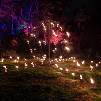 Lightscape San Diego - Botanical Gardens Near Me - Encinitas, California