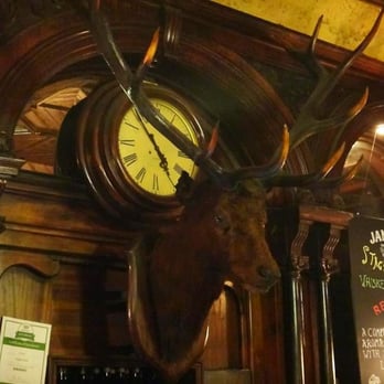 The Stag's Head - Stag's head mounted over the bar. - Irish Pub Near Me - Dublin, D The Stag's Head - Stag's head mounted over the bar. - Irish Pub Near Me - Dublin, D