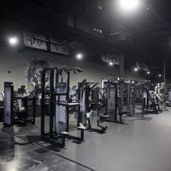 Wolf Fitness