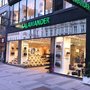 Photo of Salamander