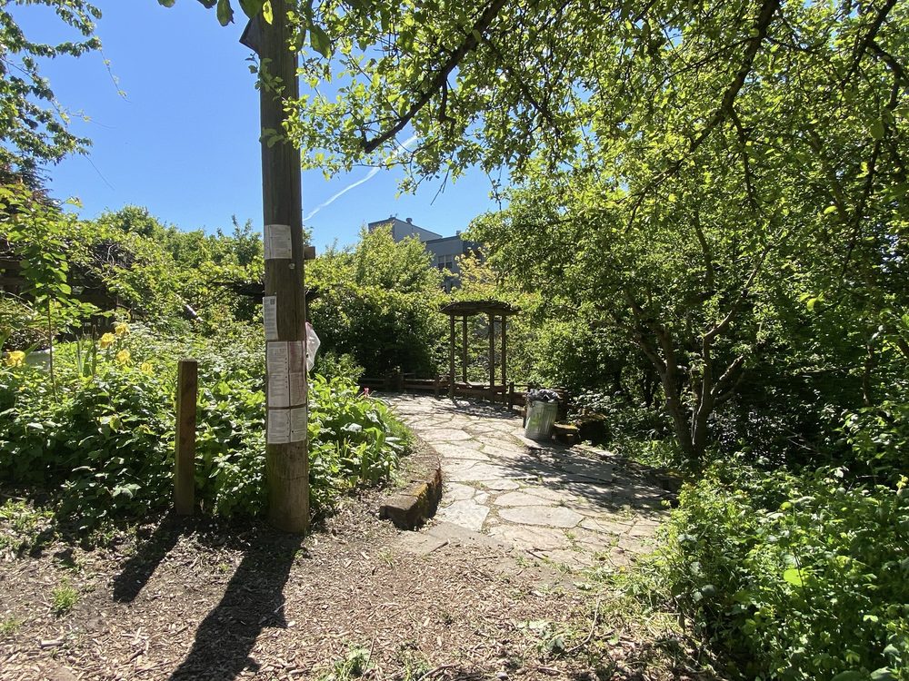 KOBE TERRACE Updated March 2025 55 Photos & 15 Reviews 650 Main