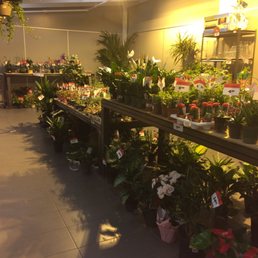 Canadian Tire greenhouse Canadian Tire greenhouse