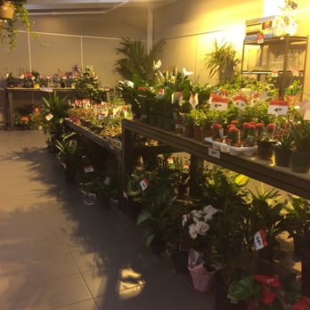 Canadian Tire - Canadian Tire greenhouse - Department Stores Near Me - Montreal, Quebec Canadian Tire - Canadian Tire greenhouse - Department Stores Near Me - Montreal, Quebec