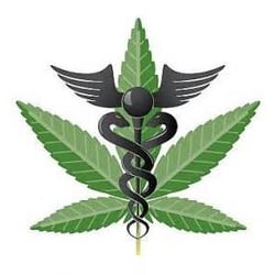 420 Physicians Merced