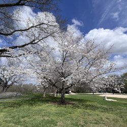 Frank Liske Park & Soccer Complex - Spring has sprung