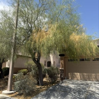Treepro - Tree before 2 of 2 - Tree Services Near Me - Las Vegas, Nevada Treepro - Tree before 2 of 2 - Tree Services Near Me - Las Vegas, Nevada